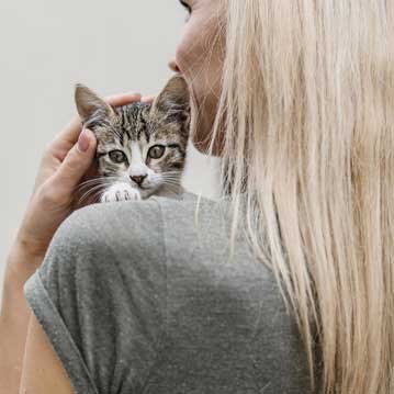 Campañas de anuncios y social ads en redes sociales en España